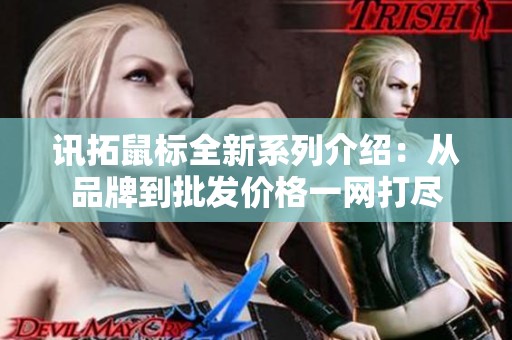 讯拓鼠标全新系列介绍：从品牌到批发价格一网打尽