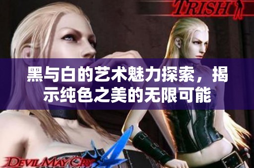 黑与白的艺术魅力探索，揭示纯色之美的无限可能
