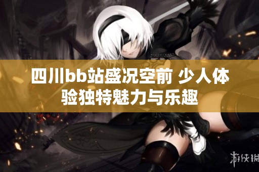 四川bb站盛况空前 少人体验独特魅力与乐趣