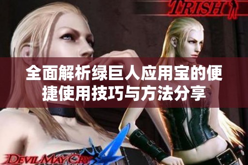 全面解析绿巨人应用宝的便捷使用技巧与方法分享
