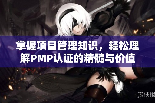 掌握项目管理知识，轻松理解PMP认证的精髓与价值