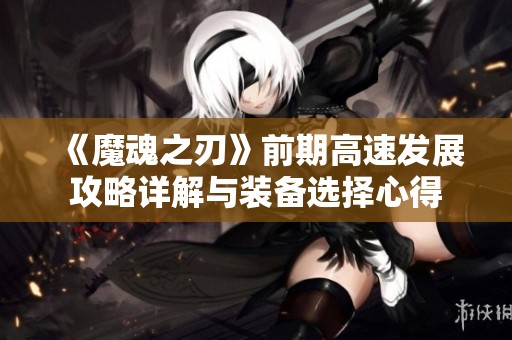 《魔魂之刃》前期高速发展攻略详解与装备选择心得