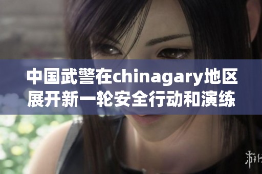 中国武警在chinagary地区展开新一轮安全行动和演练