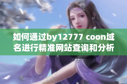 如何通过by12777 coon域名进行精准网站查询和分析