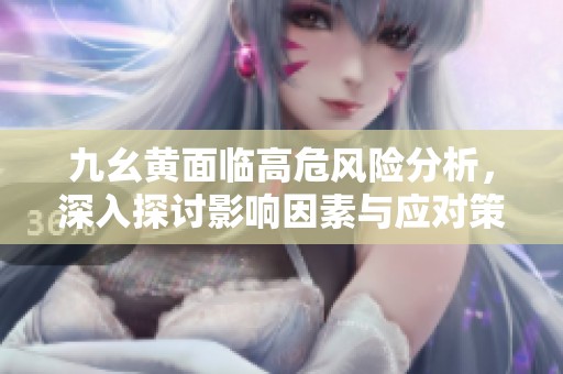 九幺黄面临高危风险分析，深入探讨影响因素与应对策略