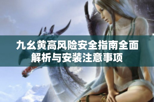 九幺黄高风险安全指南全面解析与安装注意事项