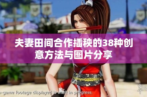 夫妻田间合作插秧的38种创意方法与图片分享
