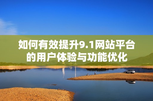 如何有效提升9.1网站平台的用户体验与功能优化