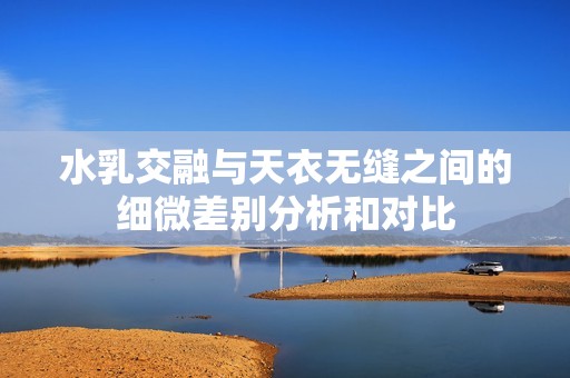 水乳交融与天衣无缝之间的细微差别分析和对比