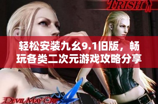 轻松安装九幺9.1旧版，畅玩各类二次元游戏攻略分享