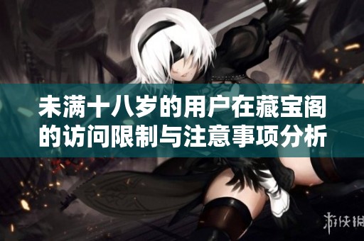 未满十八岁的用户在藏宝阁的访问限制与注意事项分析