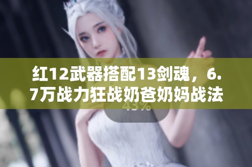 红12武器搭配13剑魂，6.7万战力狂战奶爸奶妈战法解析