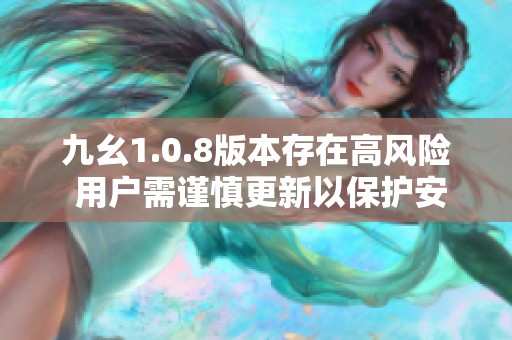 九幺1.0.8版本存在高风险 用户需谨慎更新以保护安全