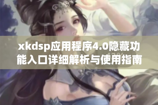 xkdsp应用程序4.0隐藏功能入口详细解析与使用指南