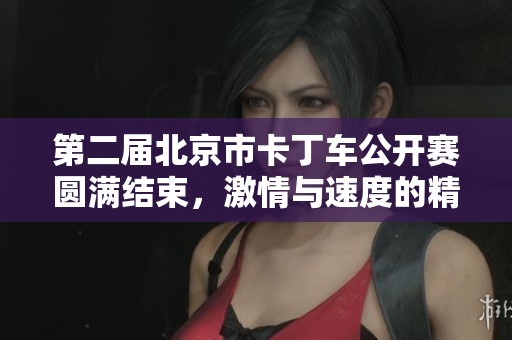 第二届北京市卡丁车公开赛圆满结束，激情与速度的精彩对决