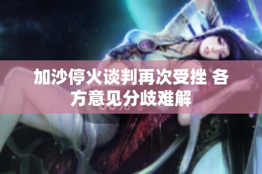 加沙停火谈判再次受挫 各方意见分歧难解