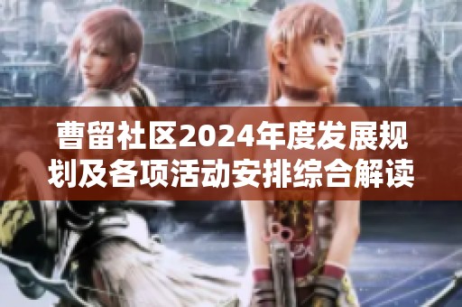曹留社区2024年度发展规划及各项活动安排综合解读