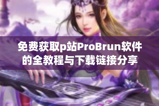 免费获取p站ProBrun软件的全教程与下载链接分享