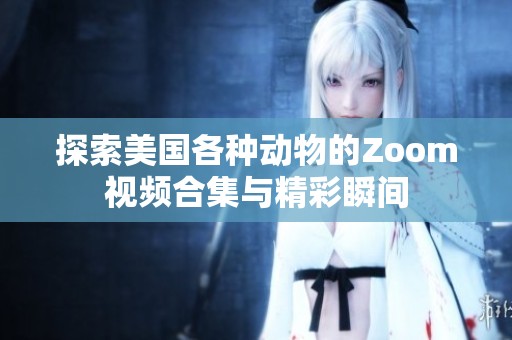 探索美国各种动物的Zoom视频合集与精彩瞬间