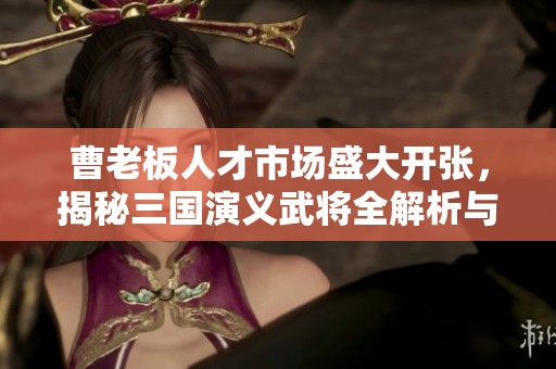 曹老板人才市场盛大开张，揭秘三国演义武将全解析与战法攻略