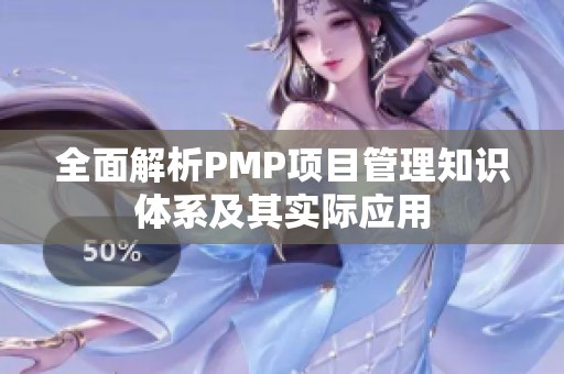 全面解析PMP项目管理知识体系及其实际应用