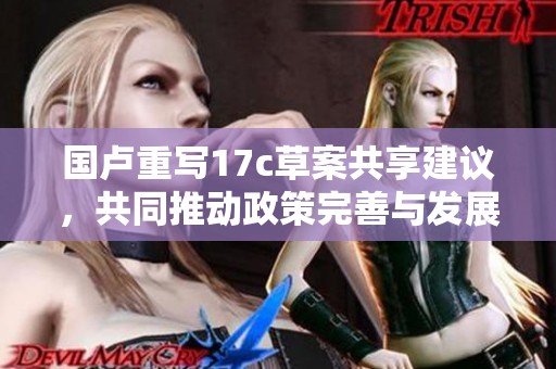 国卢重写17c草案共享建议，共同推动政策完善与发展