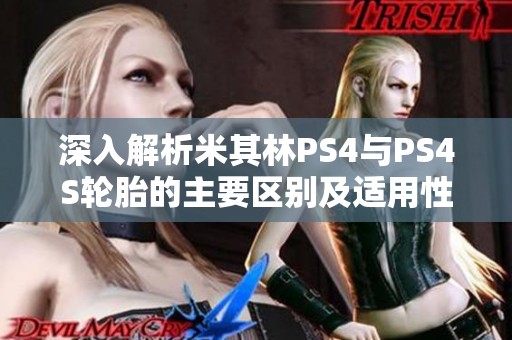 深入解析米其林PS4与PS4S轮胎的主要区别及适用性