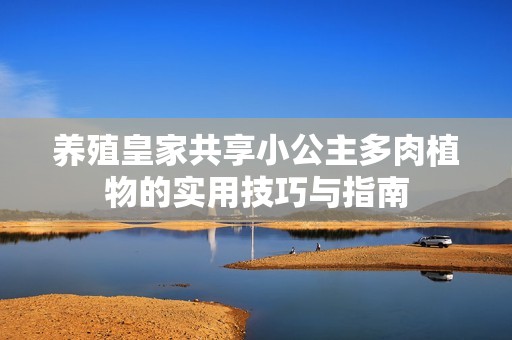 养殖皇家共享小公主多肉植物的实用技巧与指南