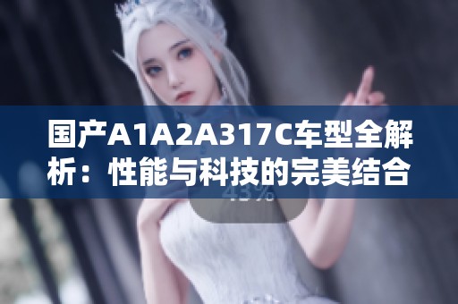 国产A1A2A317C车型全解析：性能与科技的完美结合