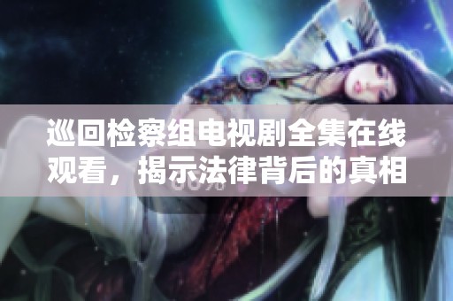 巡回检察组电视剧全集在线观看，揭示法律背后的真相与正义