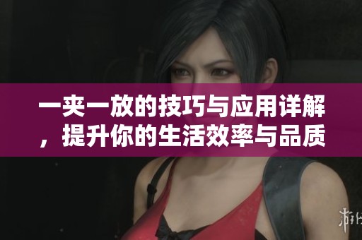 一夹一放的技巧与应用详解，提升你的生活效率与品质