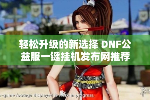 轻松升级的新选择 DNF公益服一键挂机发布网推荐