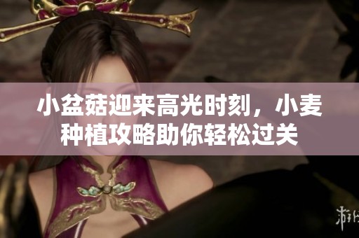 小盆菇迎来高光时刻，小麦种植攻略助你轻松过关