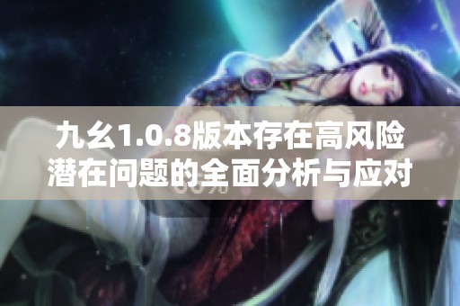 九幺1.0.8版本存在高风险潜在问题的全面分析与应对措施