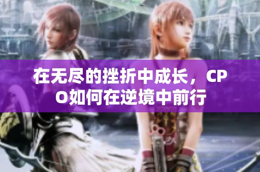 在无尽的挫折中成长，CPO如何在逆境中前行
