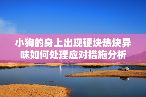 小狗的身上出现硬块热块异味如何处理应对措施分析