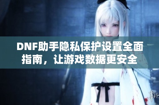 DNF助手隐私保护设置全面指南，让游戏数据更安全