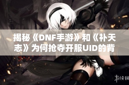 揭秘《DNF手游》和《补天志》为何抢夺开服UID的背后秘密