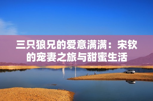 三只狼兄的爱意满满：宋钦的宠妻之旅与甜蜜生活
