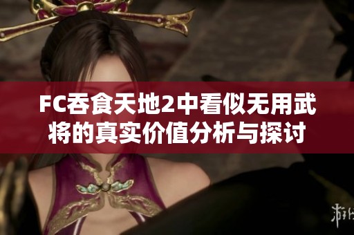 FC吞食天地2中看似无用武将的真实价值分析与探讨