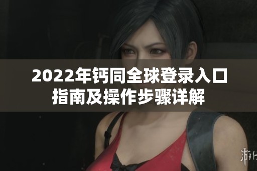 2022年钙同全球登录入口指南及操作步骤详解