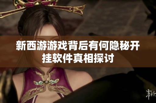 新西游游戏背后有何隐秘开挂软件真相探讨