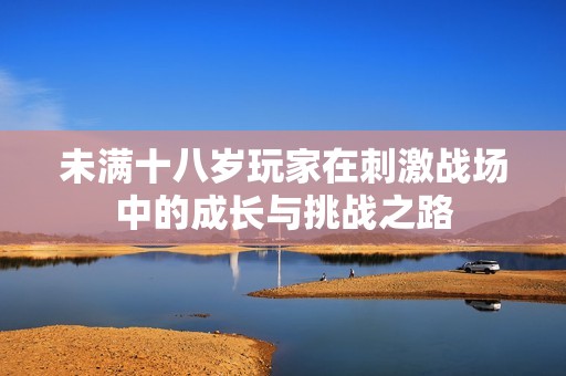 未满十八岁玩家在刺激战场中的成长与挑战之路