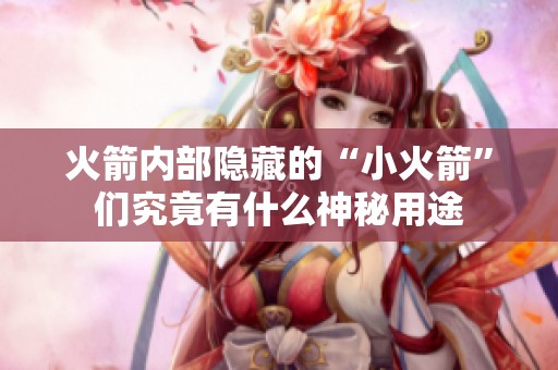 火箭内部隐藏的“小火箭”们究竟有什么神秘用途