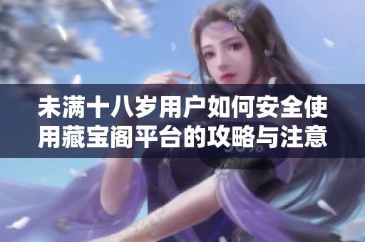 未满十八岁用户如何安全使用藏宝阁平台的攻略与注意事项
