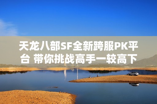 天龙八部SF全新跨服PK平台 带你挑战高手一较高下