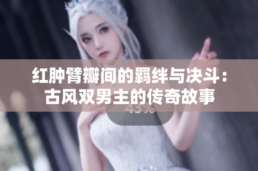 红肿臂瓣间的羁绊与决斗：古风双男主的传奇故事