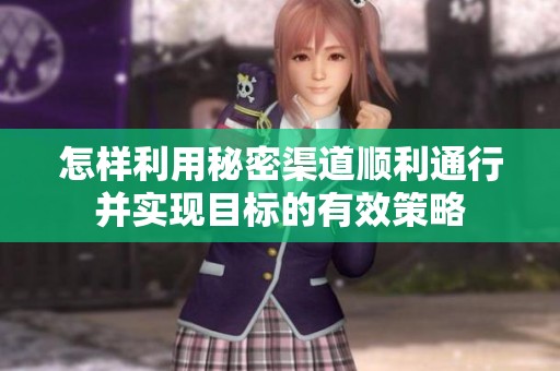 怎样利用秘密渠道顺利通行并实现目标的有效策略