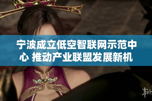 宁波成立低空智联网示范中心 推动产业联盟发展新机遇