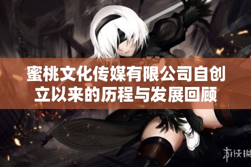 蜜桃文化传媒有限公司自创立以来的历程与发展回顾